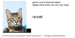 HOW TO BUILD OBJECT DETECTION SOFTWARE