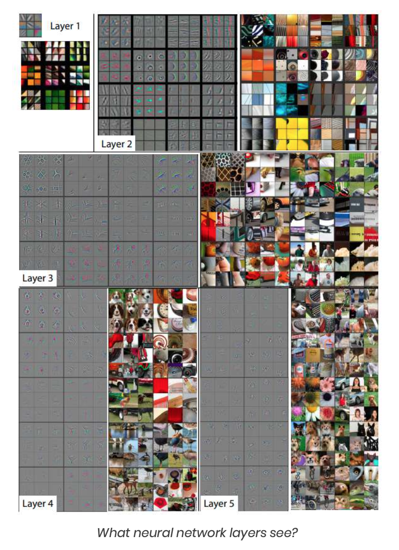 Free Guide: How to build AI-driven object detection software - DLabs.AI