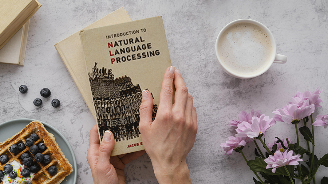 Natural Language Processing book